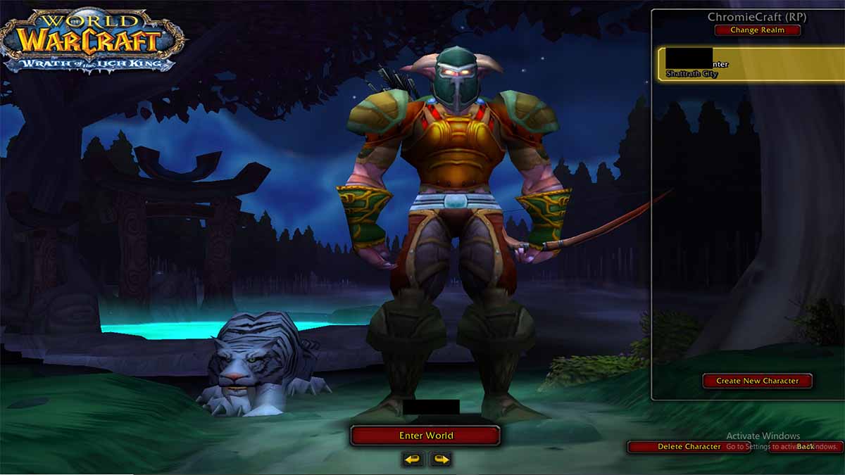 Night Elf Male Hunter 70 lvl ChromieCraft for sale Night Elf Male Hunter 70 lvl ChromieCraft for sale