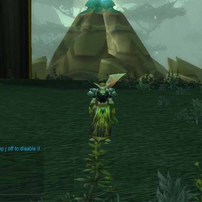 Druied 70 lvl ChromieCraft for sale Night Elf Female