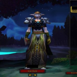 Night Elf Male Druid 70 lvl ChromieCraft for sale